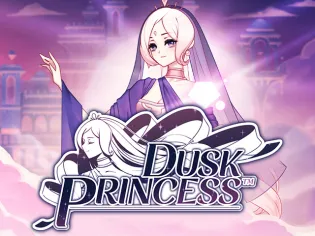 Dusk Princess™ game cover